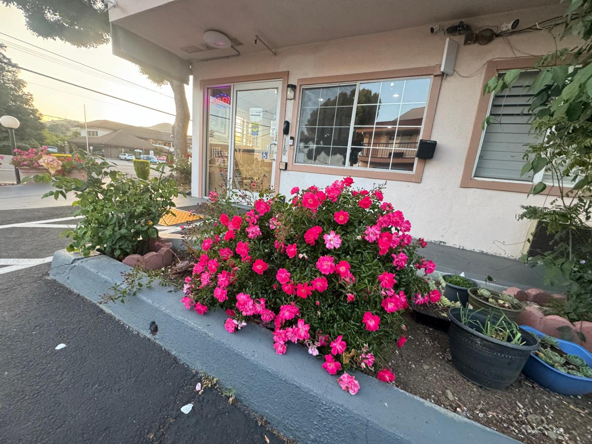 Morgan Hill Inn エクステリア 写真